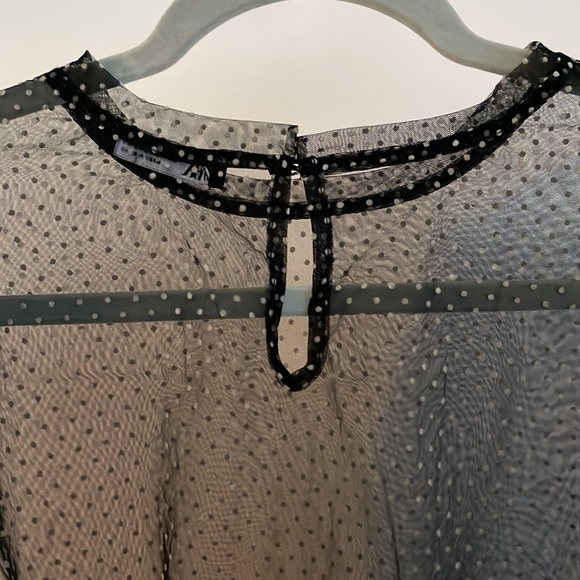 Zara Sheer Blouse - Picture 3 of 4